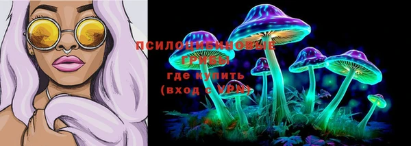 apvp Вязники