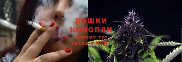 прущая мука Вяземский