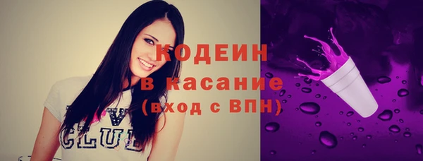 прущая мука Вяземский