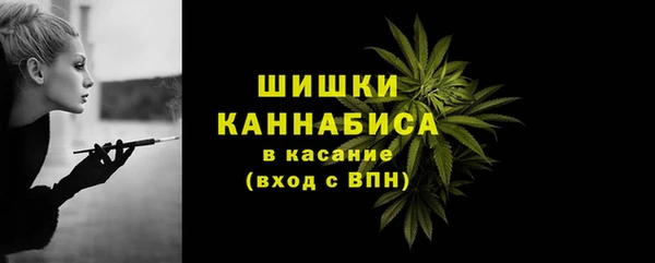 прущая мука Вяземский