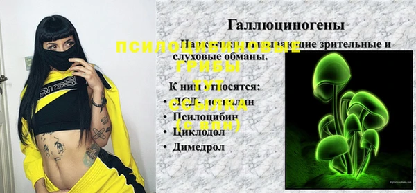 apvp Вязники