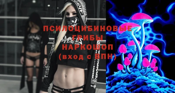 apvp Вязники