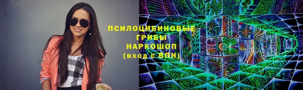 apvp Вязники