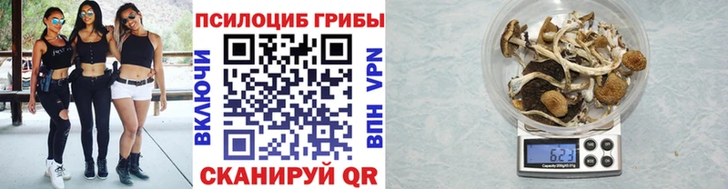 Купить где  Волосово  Псилоцибиновые грибы MAGIC MUSHROOMS 